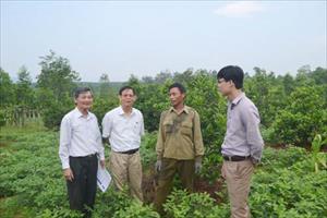 HLV và TT Hà Tĩnh: Mô hình vườn mẫu theo hướng nông nghiệp hữu cơ