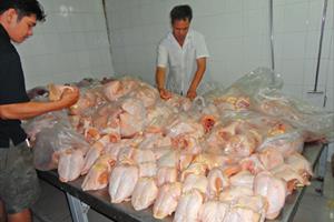 Nỗi lo gà bệnh tràn vào Việt Nam