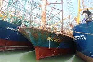 Bình Định: Tàu vỏ thép tiền tỷ... nằm bờ