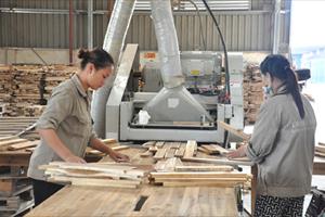 Để ngành chế biến, XK gỗ phát triển bền vững, các DN phải nói không với gỗ bất hợp pháp