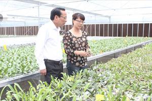 Hà Nội: Cần tập trung cho sản xuất nông nghiệp công nghệ cao