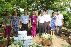 Chủ tịch Trung ương Hội Làm vườn Việt Nam thăm mô hình trồng na ở Chi Lăng