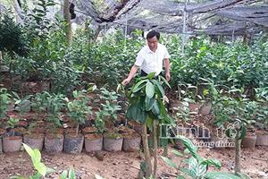 Người làm vườn Tam Đảo: Chú trọng phát triển cây-con đặc sản