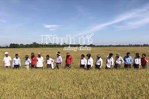 Hướng đi của Quảng Trị: Sản xuất nông nghiệp hữu cơ