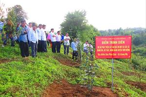 Hiệu quả từ dự án phát triển cây ăn quả ôn đới ở Lai Châu