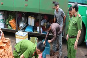 Đắk Lắk: Phát hiện 40 con dúi trên xe khách giường nằm