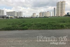 TP. Hồ Chí Minh: Hệ số điều chỉnh giá đất không thay đổi so với năm 2016