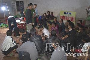 Đắk Lắk: Triệt xóa tụ điểm đánh bạc và bắt giữ 44 đối tượng