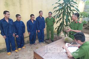 Đắk Lắk: Bắt nhóm thanh niên đi trộm cắp sầu riêng của dân