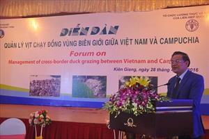 Chia sẻ kinh nghiệm quản lí vịt chạy đồng giữa Việt Nam và Campuchia