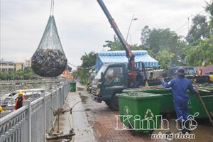 TP. Hồ Chí Minh: Rải hàng chục tấn Zeolite xuống kênh Nhiêu Lộc –Thị Nghè để xử lý môi trường nước