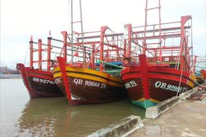 Quảng Bình: Hỗ trợ hơn 64,7 tỷ đồng cho ngư dân khai thác hải sản trên các vùng biển xa