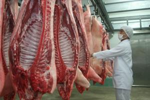 Sẽ có 10.000 tấn thịt lợn sạch của Việt Nam xuất khẩu sang Hà Lan