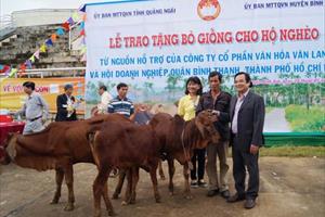 Quảng Ngãi: Trao tặng 20 con bò giống cho hộ nghèo
