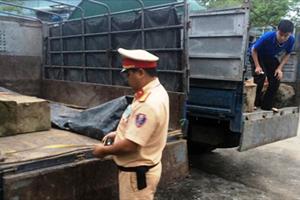 Quảng Nam: Bắt giữ 2 xe tải vận chuyển gỗ lậu