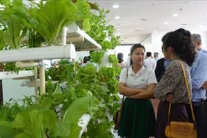 Đà Nẵng: Kêu gọi đầu tư 1.500 tỷ đồng phát triển nông nghiệp công nghệ cao