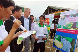 Hoa Kỳ hỗ trợ Việt Nam bảo tồn voi tại Quảng Nam