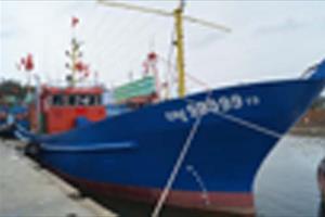 Quảng Ngãi: Bàn giao tàu cá vỏ thép hiện đại cho ngư dân