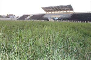 Hà Tĩnh: Sân vận động tiền tỷ... bỏ hoang