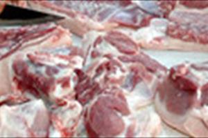 TP HCM kiến nghị buộc tiêu hủy ngay gia súc, gia cầm nhiễm chất cấm
