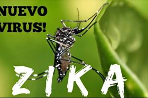 Báo động tình trạng lây lan virus Zika tại nhiều nước trên thế giới