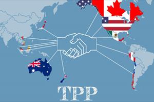 Chính thức ký Hiệp định TPP: Cửa đã mở để Việt Nam đón thêm nhiều cơ hội