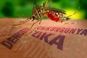 Có thể xét nghiệm chẩn đoán mắc virus Zika trong vòng 6-8 tiếng