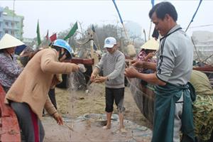 Vụ ngư dân Sầm Sơn đi kiện: Ngư dân đã được để lại 3 bến neo đậu