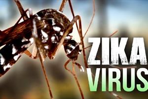 Tìm mọi cách ngăn virus Zika vào Việt Nam