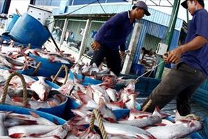 Mỹ công nhận 45 cơ sở chế biến cá tra của Việt Nam