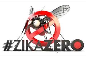 Muỗi truyền virus Zika được cảnh báo rất phổ biến tại Hà Nội