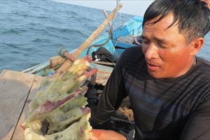 Cá chết xếp lớp ở đáy biển miền Trung: Đề nghị Bộ TNMT vào cuộc