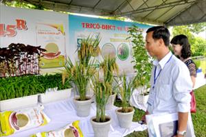 Nông nghiệp hữu cơ sinh học - giải pháp phát triển bền vững