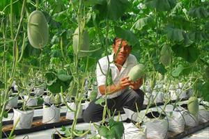 Tương lai nông nghiệp Việt Nam: Chất lượng sản phẩm là “cứu cánh“