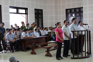 Vụ án “buôn lậu” gỗ trắc ở cảng Đà Nẵng: Không đủ căn cứ để buộc tội, Tòa tiếp tục trả hồ sơ