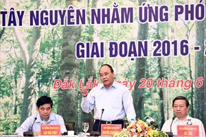Thủ tướng Nguyễn Xuân Phúc: Quyết tâm khôi phục, phát triển rừng bền vững