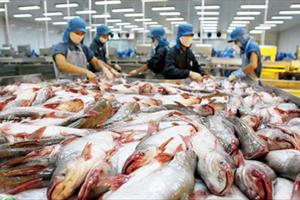 Xuất khẩu cá tra tăng mạnh sang Mỹ