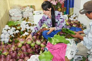 Loại trái cây duy nhất chỉ Việt Nam có xuất khẩu, Mỹ phải mua