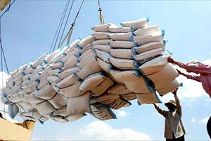 Xuất khẩu gạo giảm mạnh về giá trị