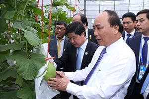 Thủ tướng thăm Khu học xá Trung ương và mô hình nông nghiệp công nghệ cao Trung Quốc