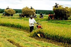 Nông nghiệp ‘khát’ vốn, ngân hàng vẫn ‘né’ cho vay