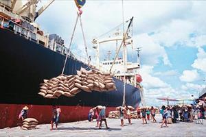 Xuất khẩu gạo của Thái Lan giảm 11% trong tháng 8