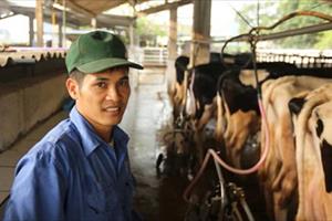 Hiếm có ở Việt Nam: Thị trấn 600 tỷ phú, lái ôtô dạo thăm bò