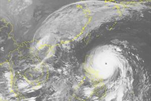 Chiều nay, bão số 7 giật cấp 11 tấn công đất liền Quảng Ninh