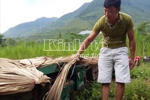 Tiếp bài “Cấm nuôi ong ngoại, chuyện chỉ có ở Hà Giang”: Bộ Nông nghiệp và PTNT lên tiếng