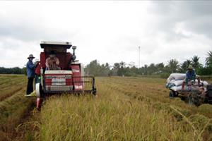 Nông nghiệp ĐBSCL trước thách thức hội nhập kinh tế