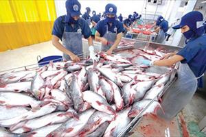 Giá trị xuất khẩu thủy sản được dự báo tiếp tục tăng trưởng