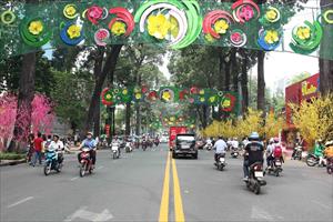 Tuyến đường mùa xuân nổi bật giữa Sài Gòn
