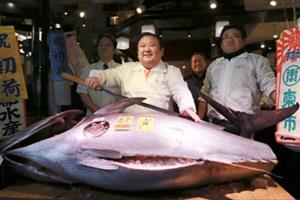 Cá ngừ vây xanh khổng lồ giá 14,3 tỷ đồng