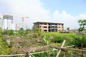Hà Nội: Cần sớm thu hồi Dự án bệnh viện quốc tế Việt Mỹ bỏ hoang, gây lãng phí